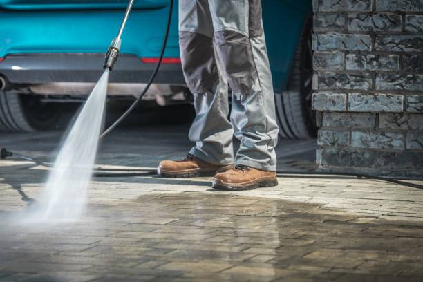Best Soft Washing  in Plattsburg, MO